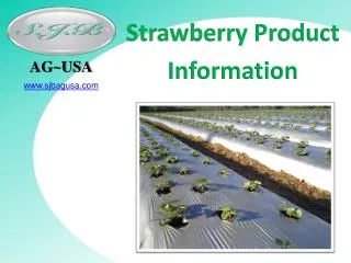 Strawberry Product Information