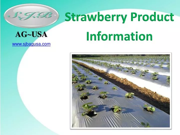 strawberry product information