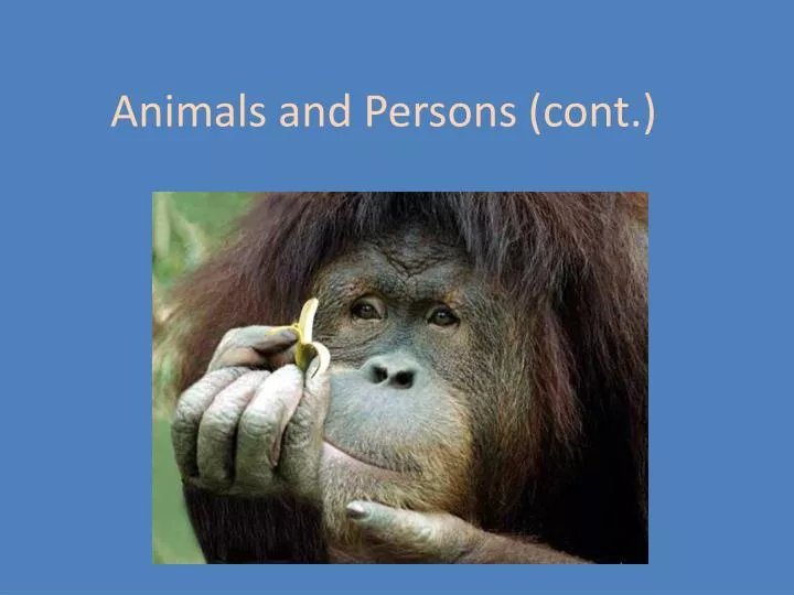 animals and persons cont