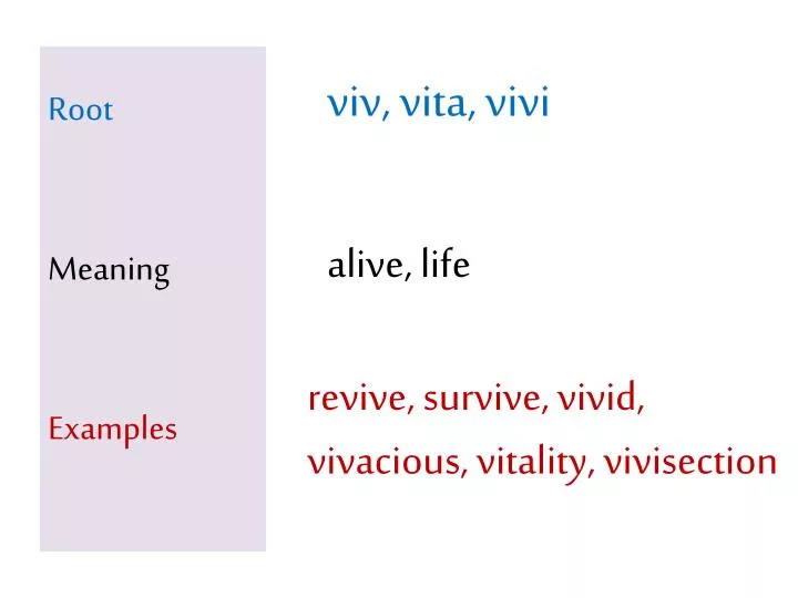 root meaning examples