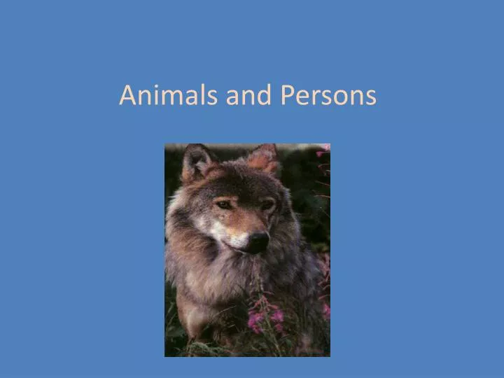 animals and persons