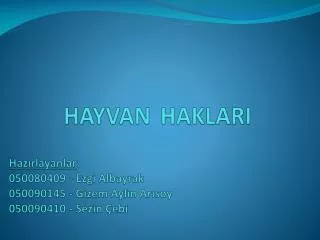 hayvan haklari