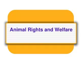 Animal Rights and Welfare