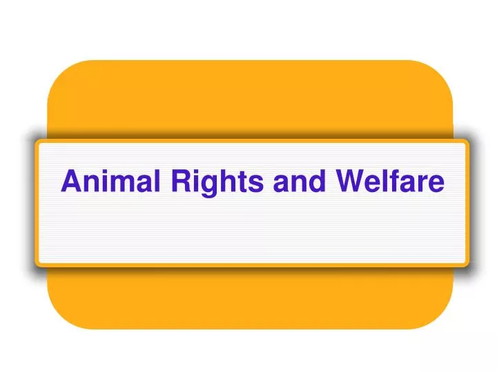 animal rights and welfare