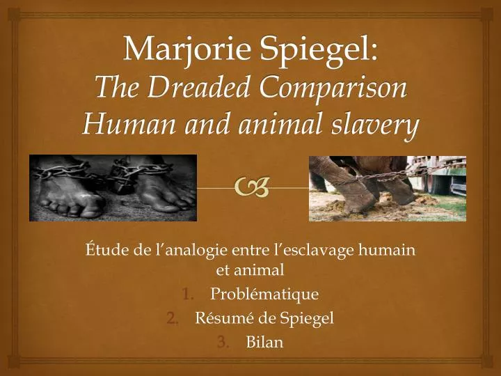 marjorie spiegel the dreaded comparison human and animal slavery