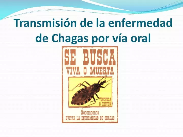 transmisi n de la enfermedad de chagas por v a oral