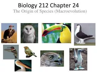 Biology 212 Chapter 24