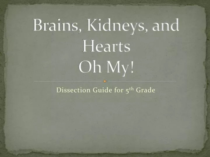 brains kidneys and hearts oh my
