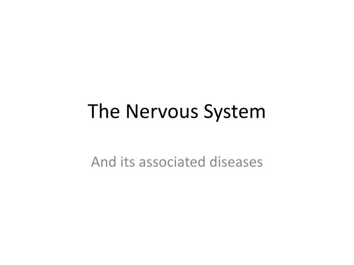 the nervous system