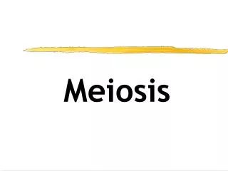 Meiosis