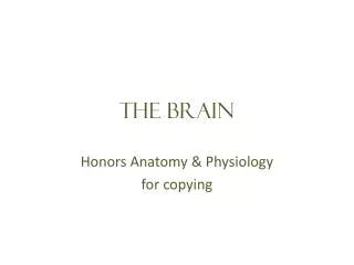 the brain