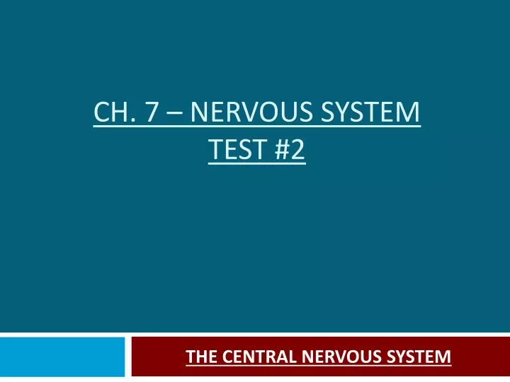 ch 7 nervous system test 2