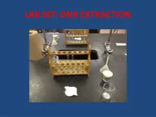 LAB SET: DNA EXTRACTION