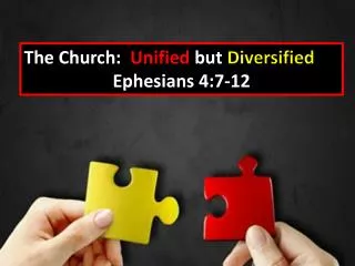 The Church: Unified but Diversified