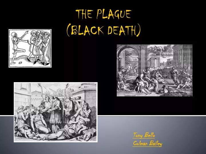 the plague black death