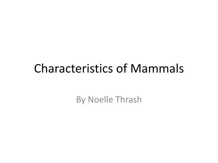 characteristics of mammals