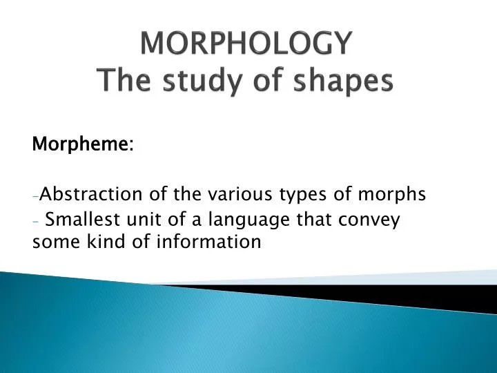 morphology the study of shapes