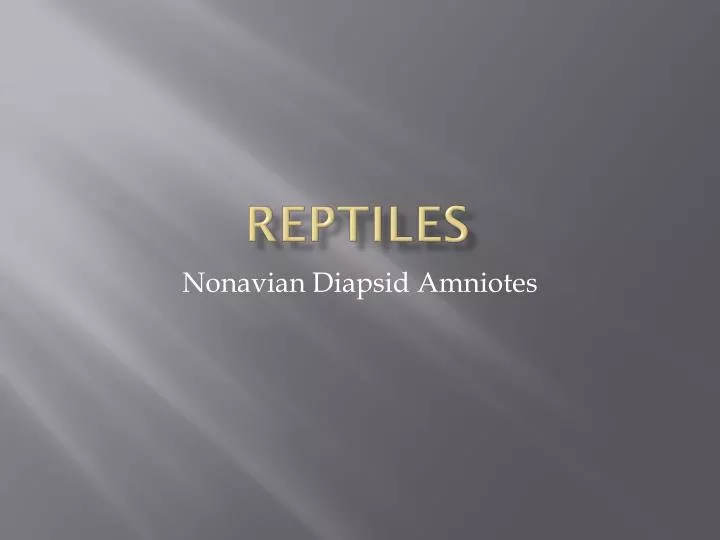 reptiles