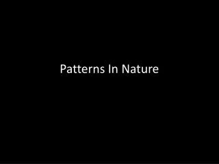 Patterns In Nature