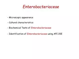 Enterobacteriaceae