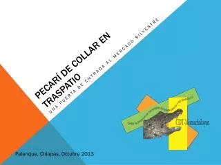 pecar de collar en traspatio