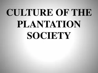 CULTURE OF THE PLANTATION SOCIETY