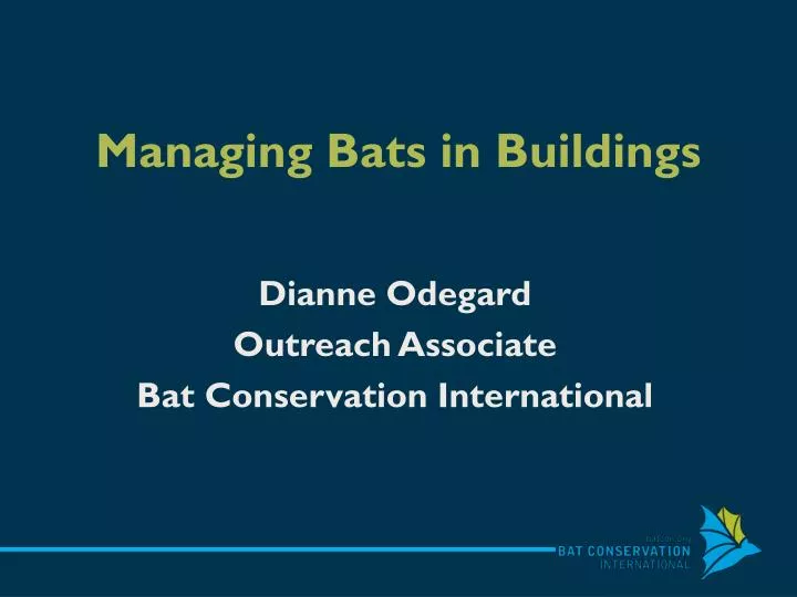 managing bats in buildings