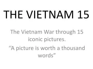 THE VIETNAM 15