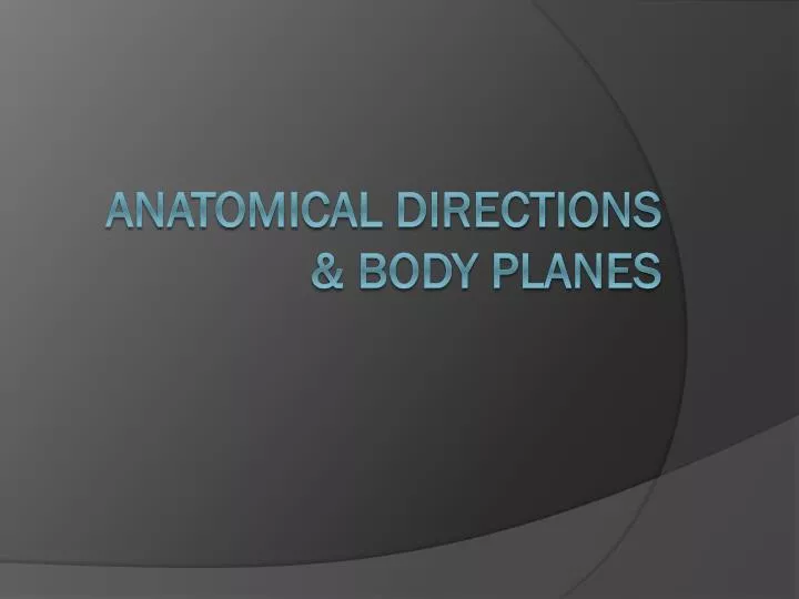 anatomical directions body planes
