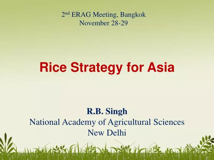 rice strategy for asia