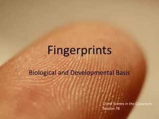 Fingerprints