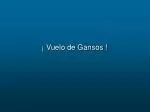 ¡ Vuelo de Gansos ! - slide 1