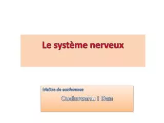 l e syst me nerveux