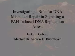 Investigating a Role for DNA Mismatch Repair in Signaling a PAH-Induced DNA Replication Arrest