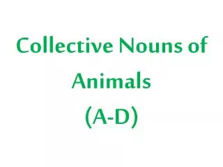 Collective Nouns of Animals (A-D)