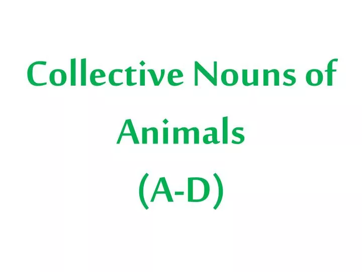 collective nouns of animals a d