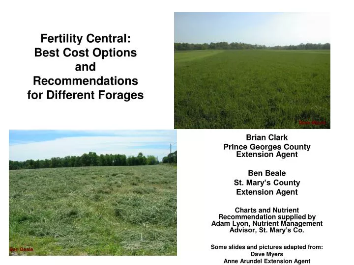 fertility central best cost options and recommendations for different forages
