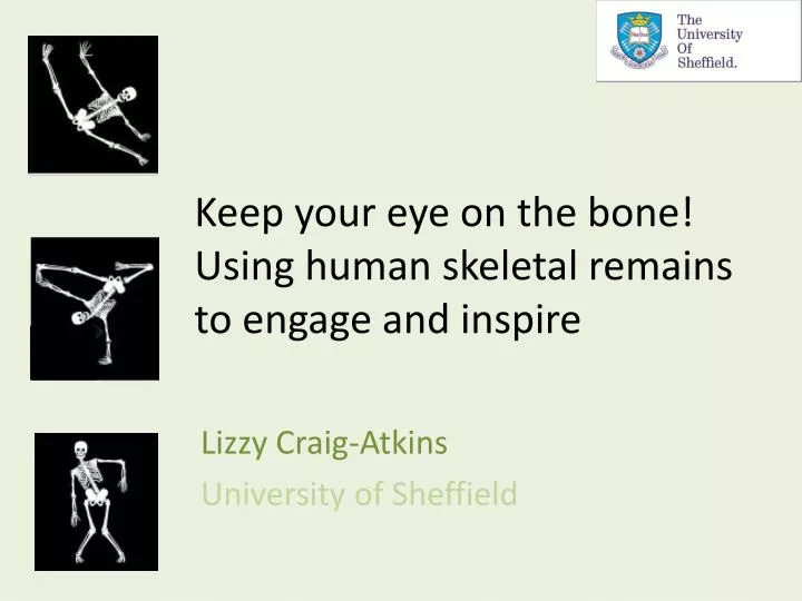 keep your eye on the bone using human skeletal remains to engage and inspire