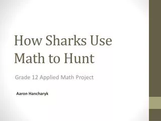 How Sharks Use Math to Hunt