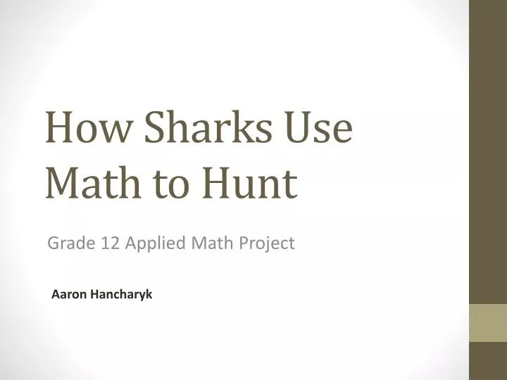 how sharks use math to hunt