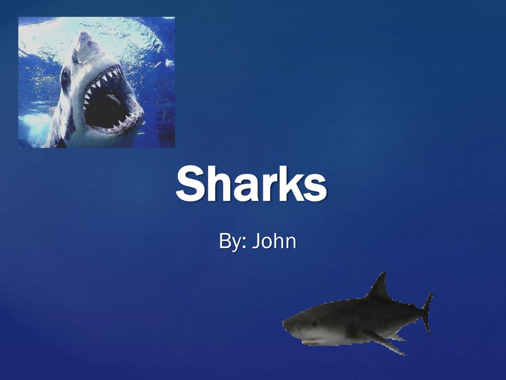 PPT - Sharks PowerPoint Presentation, free download - ID:2281271