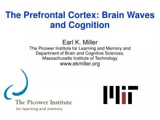 The Prefrontal Cortex: Brain Waves and Cognition Earl K. Miller