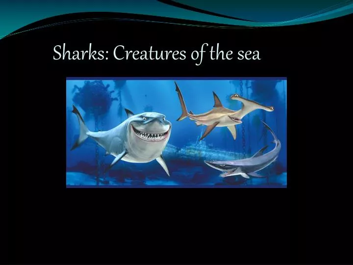 sharks creatures of the sea