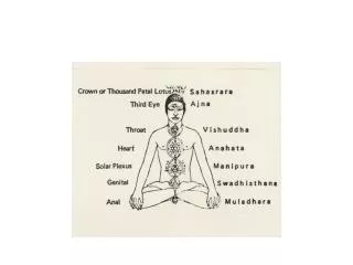 Chakras and the Central Channel