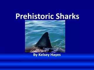 Prehistoric Sharks