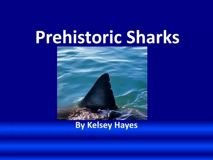 prehistoric sharks