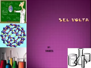 sel volta