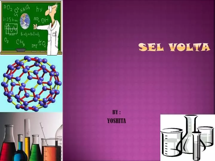 sel volta