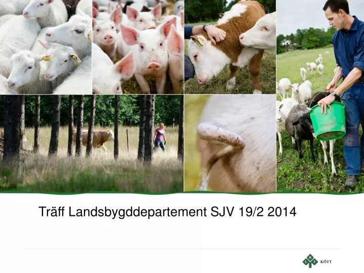 tr ff landsbygddepartement sjv 19 2 2014