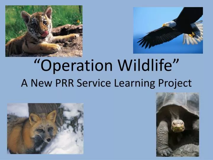operation wildlife a new prr service learning project